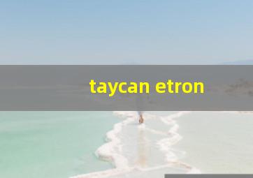 taycan etron